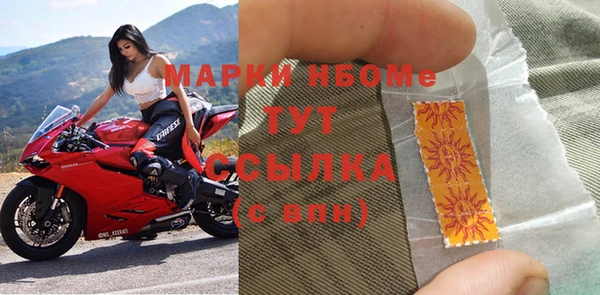 ECSTASY Алзамай