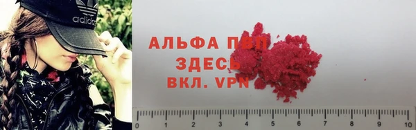 гидра Алексин