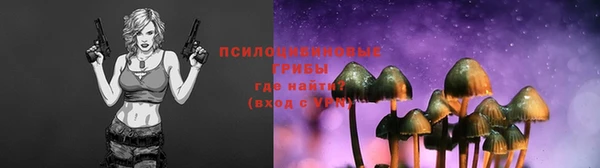 бошки Алексеевка