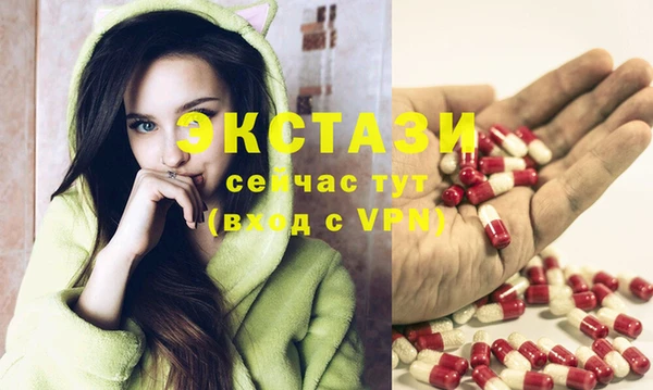ECSTASY Алзамай
