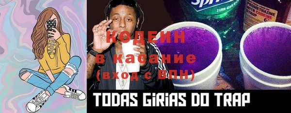 ECSTASY Алзамай