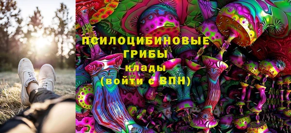 ECSTASY Алзамай